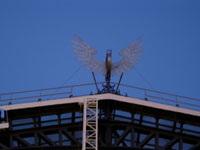 Centraal station Amsterdam 1